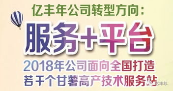 2019全國征集甘薯一站式技術服務站 助推甘薯產業高質量發展